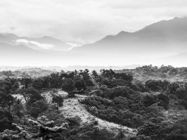 Orman manzara siyah beyaz Chiapas, Meksika için ufukta Dağları ile doğal