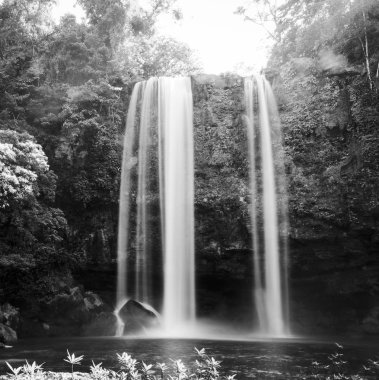 Misol Ha waterfall in early morning sunlight near Palenque in Chiapas, Mexico in black and white clipart