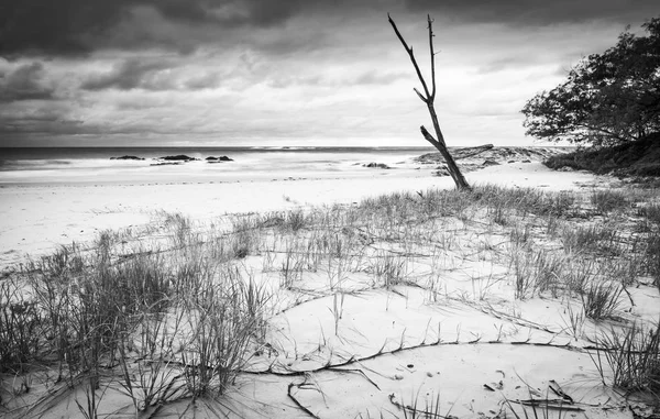 Alba Australiana Sulla Spiaggia Deadmans Isola Stradbroke Nel Queensland Bianco — Foto Stock