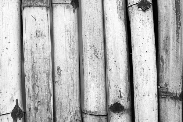 Oude Bamboe Hek Achtergrond Detail Zwart Wit — Stockfoto