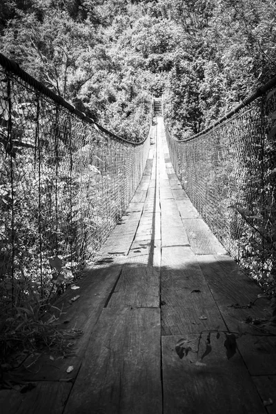 Passarela Florestal Sobre Rio Guatemala América Central Preto Branco — Fotografia de Stock