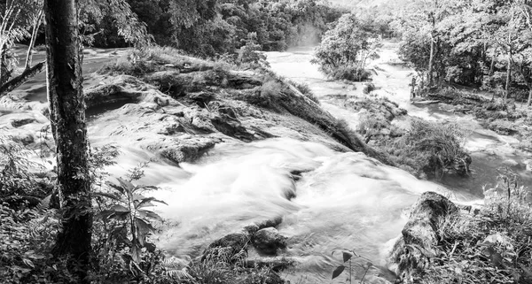 Landschaft Blick Auf Den Wasserfall Azul Der Nähe Von Palenque — Stockfoto