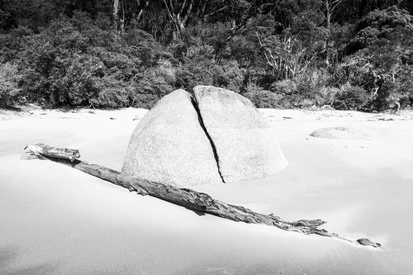 花崗岩と白と黒の森海岸の砂で流木を分割します — ストック写真