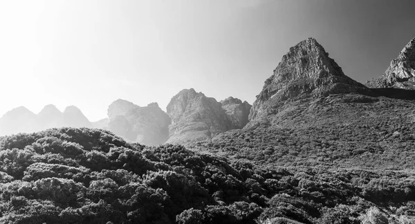 桌山国家公园在开普敦 南非在黑和白色 — 图库照片