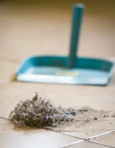 除尘和刷子把家里地板上的灰尘扫干净 — 图库照片