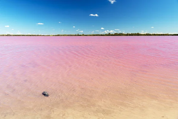 Růžová Jezero Nedaleko Dimboola Victoria Austrálii Jasně Modré Obloze — Stock fotografie