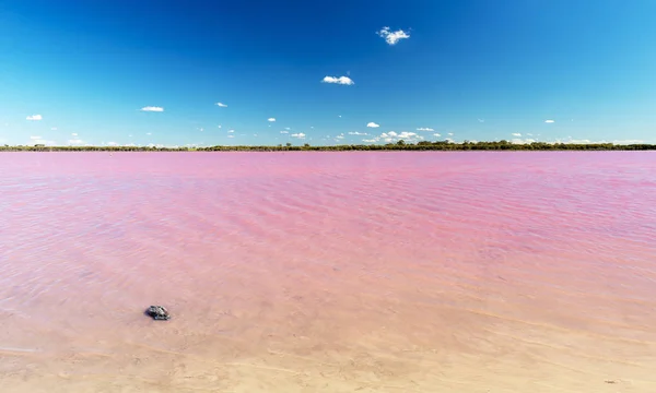Pink Lake near Dimboola, Victoria in Australia under a bright blue sky