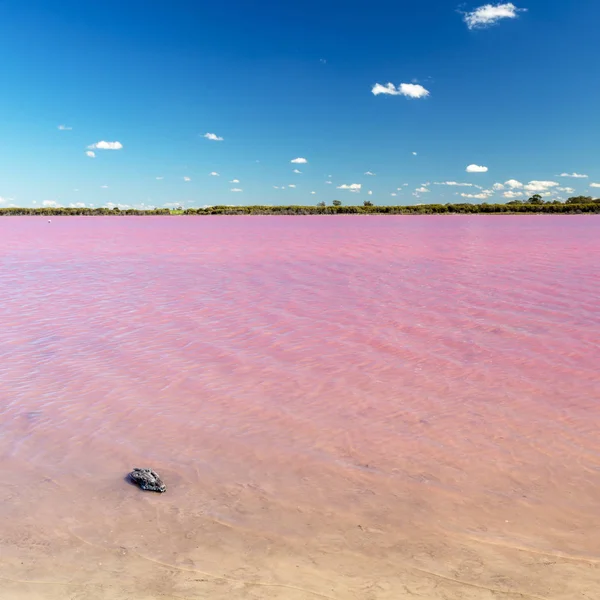 Pink Lake Perto Dimboola Victoria Austrália Sob Céu Azul Brilhante — Fotografia de Stock