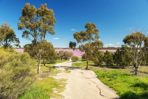 沿着澳大利亚维多利亚西部公路的一个受欢迎的盐湖 欣赏粉红湖的景色 — 图库照片