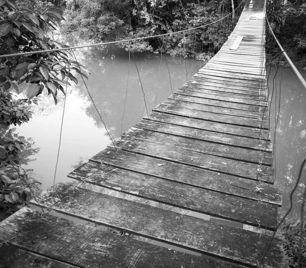 Brücke im Rio Blanco Nationalpark belize schwarz und weiß — Stockfoto