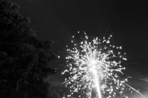 Fuegos artificiales en blanco y negro — Foto de Stock