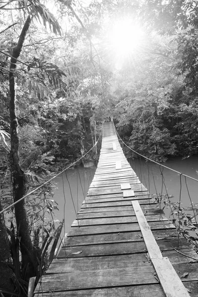 Ponte épica sobre o rio da selva preto e branco — Fotografia de Stock