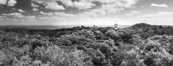 Tikal Guatemala Panorama Blanco y Negro — Foto de Stock