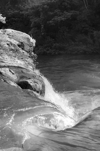 Waterfall In Forest Of Belize Black and White — Stock Photo, Image