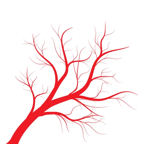 Ludzkie żyły, czerwone naczynia krwionośne na białym tle. Ilustracja wektora — Wektor stockowy