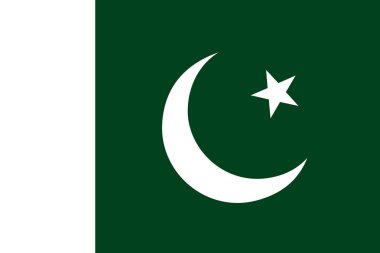 pakistan bayrağı. vektör çizim