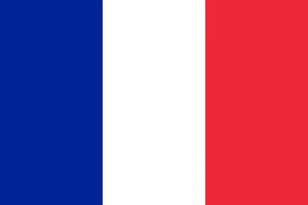 프랑스 국기입니다. 브러쉬 는 프랑스 국기를 그린. 그런 지 효과와 수채화와 손으로 그린 스타일 그림. 그런 지 질감프랑스 국기. 벡터 일러스트레이션. — 스톡 벡터