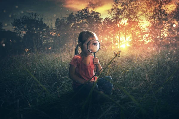Маленькая Девочка Смотрит Бабочек Поле — стоковое фото