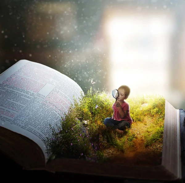 Una Bambina Guarda Farfalle Sulle Pagine Una Bibbia Aperta — Foto Stock