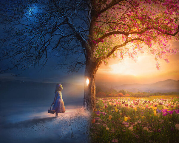 A little girl looks through a knot hole in tree which reveals a beautiful summer meadow