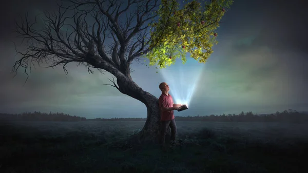 Mężczyzna Trzyma Świecącą Książkę Która Prowadzi Życia Martwym Drzewie — Zdjęcie stockowe