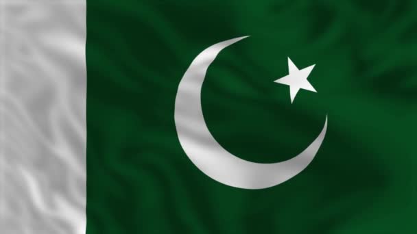 Pakistans Flag Vinkende Flaganimation – Stock-video