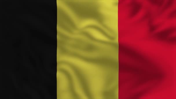 比利时国旗 飘扬的旗帜动画 — 图库视频影像