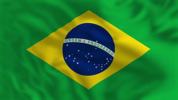 Brasiliens Flag Vinkende Flaganimation – Stock-video