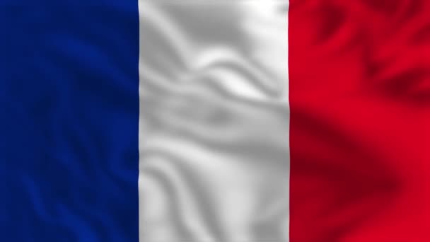 法国国旗 飘扬的旗帜动画 — 图库视频影像