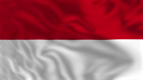 印度尼西亚国旗 飘扬的旗帜动画 — 图库视频影像