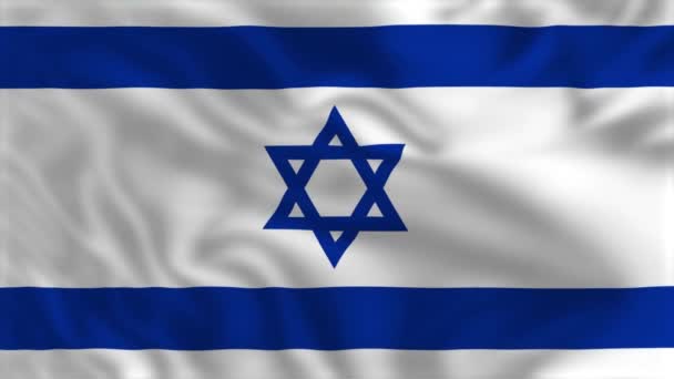 Bandeira Israel Acenando Bandeira Animação — Vídeo de Stock