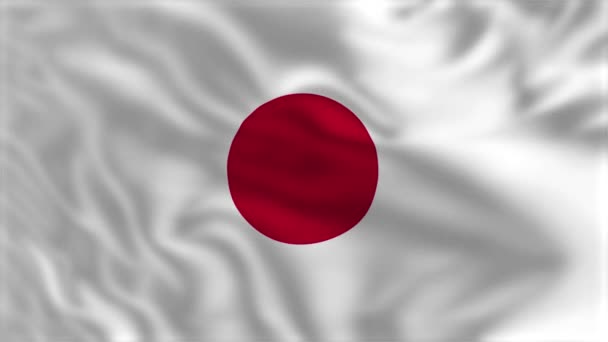 일본의 흔들리는 애니메이션 — 비디오