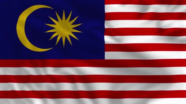 말레이시아의 흔들리는 애니메이션 — 비디오