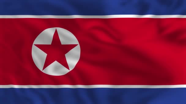 Bandera Corea Del Norte Ondeando Bandera Animación — Vídeo de stock