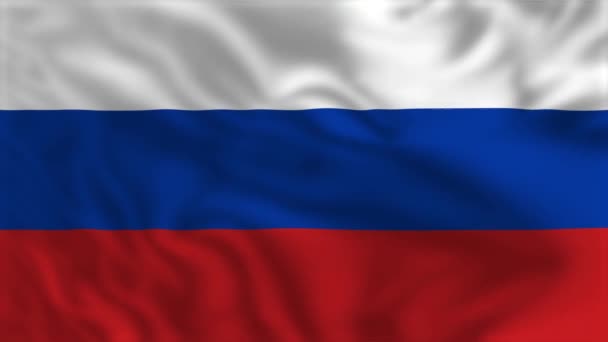 Ruská Vlajka Waving Flag Animation — Stock video