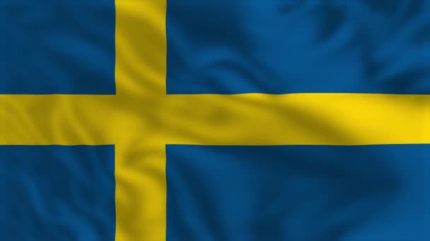 Vlag Van Zweden Waving Flag Animation — Stockvideo