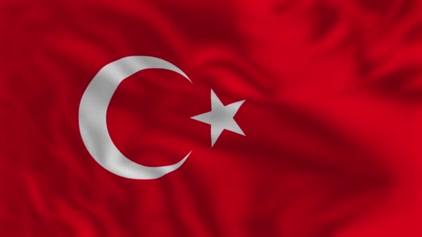 터키의 흔들리는 애니메이션 — 비디오