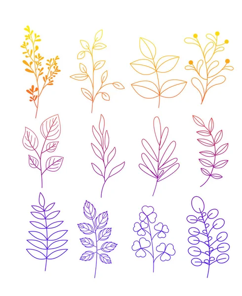 Vector illustration set of simple doodles of flowers and twigs with leaves in color line style on white background. — Stock Vector