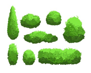 Vektör çizim set bahçe yeşil çalılar ve Dekoratif ağaçlar. Beyaz arka plan üzerinde izole karikatür tarzı çalı ve bush koleksiyonunda.