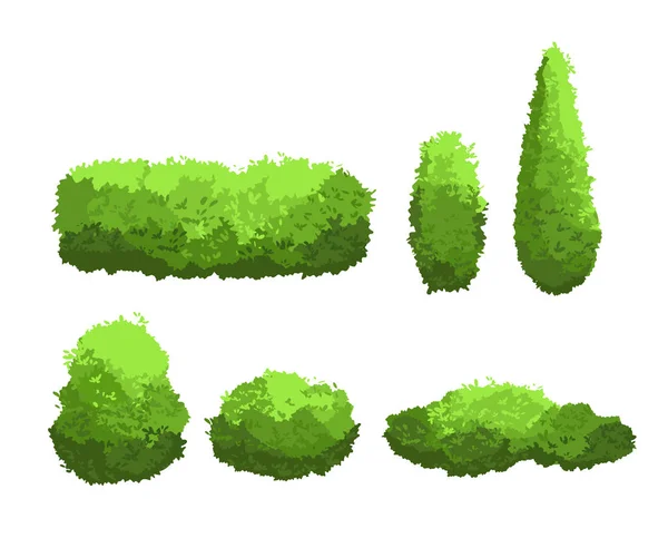 Conjunto de ilustração vetorial de arbustos verdes jardim e árvores decorativas diferentes formas. Arbusto e arbusto coleção em estilo cartoon isolado no fundo branco . —  Vetores de Stock