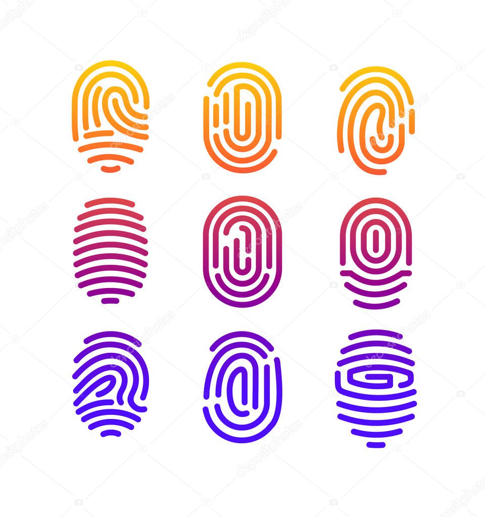 Vector illustration of different shape fingerprint collection with color gradient in line style on white background.