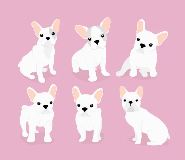 Illustration vectorielle ensemble de chiots bouledogue français adorable mignon sur fond rose dans le style de dessin animé plat . — Image vectorielle