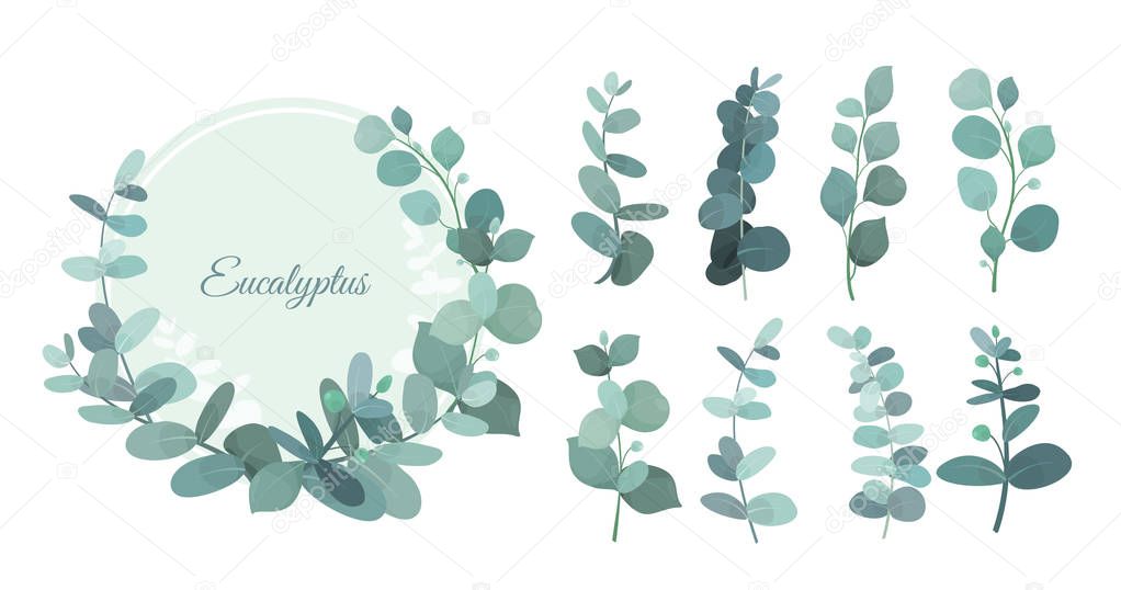 Vector illustration set of eucalyptus leafs and branches. Cute herbs for wedding greenery, decorative elements for invintations and greeting cards. Blue eucalyptus wreath, leaves and stems in flat