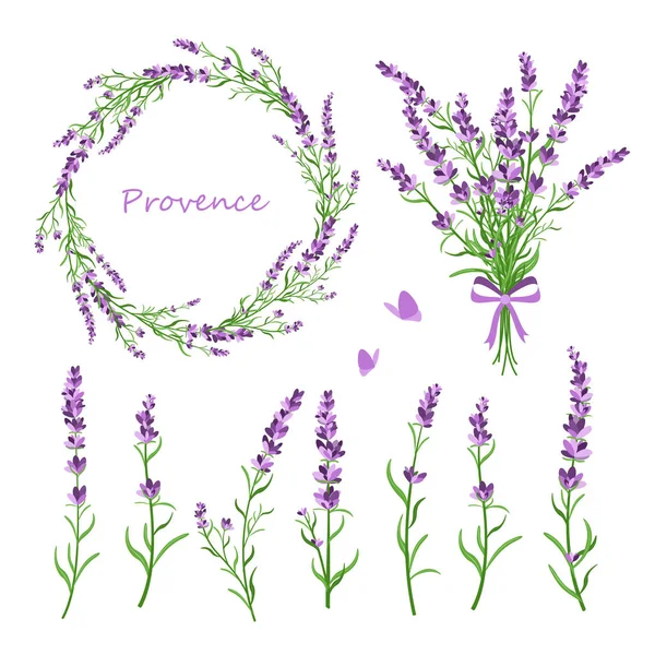 Vektör çizim lavanta çiçek, buket, çelenk ve tebrik kartı için tasarım unsurları retro düz stil, provence kavramı içinde beyaz arka plan ayarlamak.