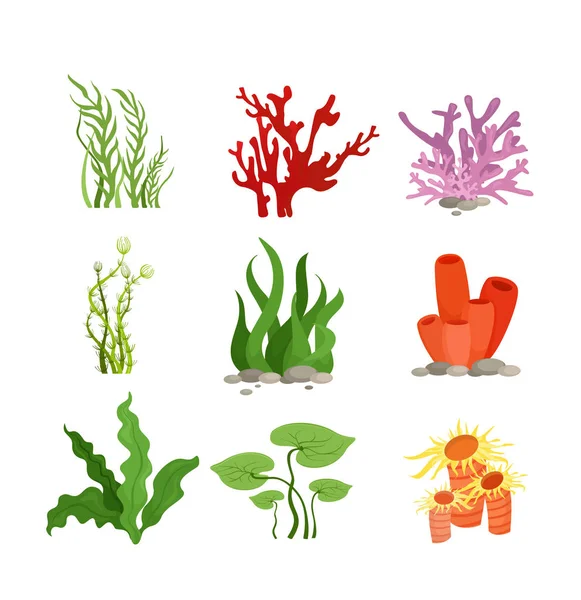 Conjunto de ilustrações vetoriais de plantas aquáticas coloridas e corais isolados sobre fundo branco em estilo plano de desenho animado . —  Vetores de Stock