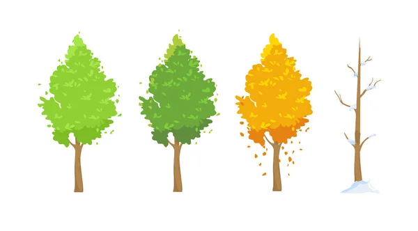 Vektorillustration av träd i olika årstider. Grönt på våren och sommaren, rött i höst, vinter träd med snö i platta tecknad stil på vit bakgrund. — Stock vektor