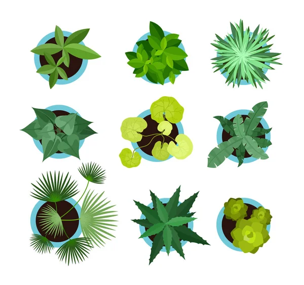 Ilustración vectorial de plantas de la casa en macetas, icono vista superior, flores de mascotas verdes, palma en estilo plano aislado sobre el fondo blanco . — Archivo Imágenes Vectoriales