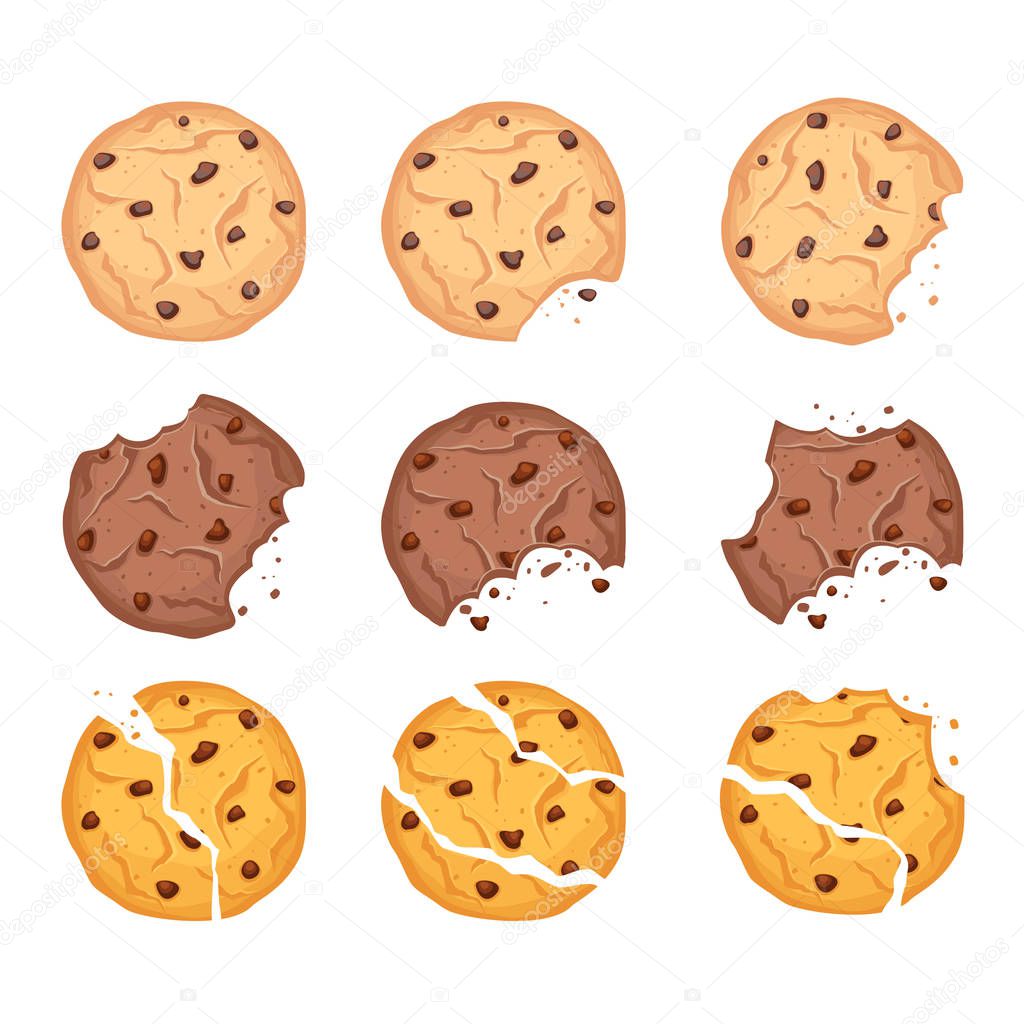 Vector illustration set of different shapes oatmeal, chocolate and wheaten cookies with chocolate drops and crumbs isolated on white background.
