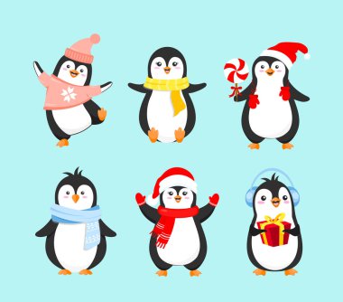 Vektör çizim kış giysileri sevimli penguenler kümesi. Neşeli Noel kavramı, happy New Year ve kış tatili. Penguenler koleksiyonunda açık mavi renkli düz çizgi film tarzı.