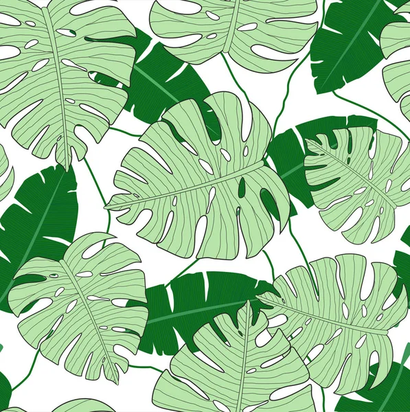 Monstera vektör çizim Dikişsiz desen bırakır. Yeşil tropikal yaprak. doku, egzotik ağaç. Tasarımınız için düz stil yaz desen. — Stok Vektör